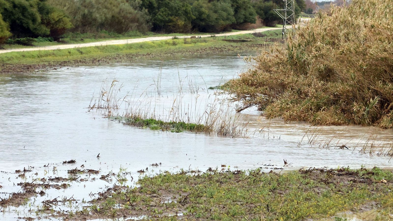 Así afronta la zona rural de Jerez la subida del río Guadalete