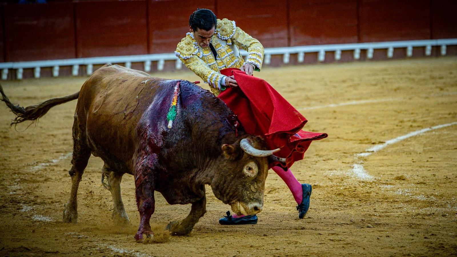 Las imágenes de la corrida de toros en El Puerto: Morante, Talavante y Juan Ortega