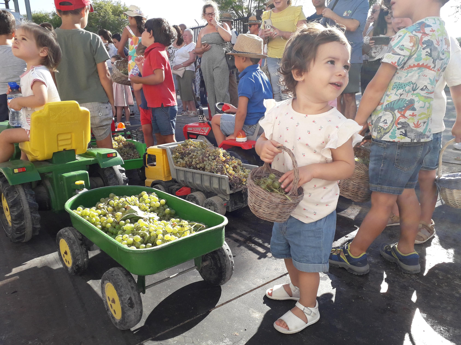 La primera vendimia infantil de Montilla, en imágenes