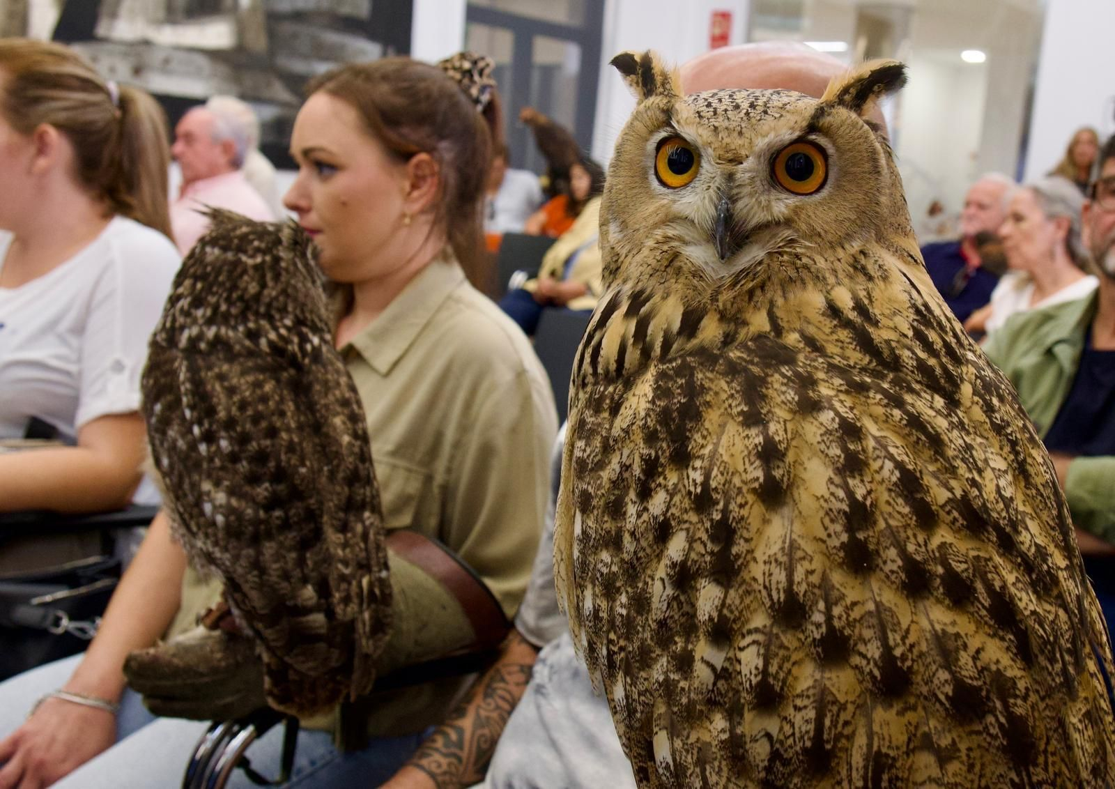 Un momento de la presentación del anuario en la Diputación de Huelva este martes.