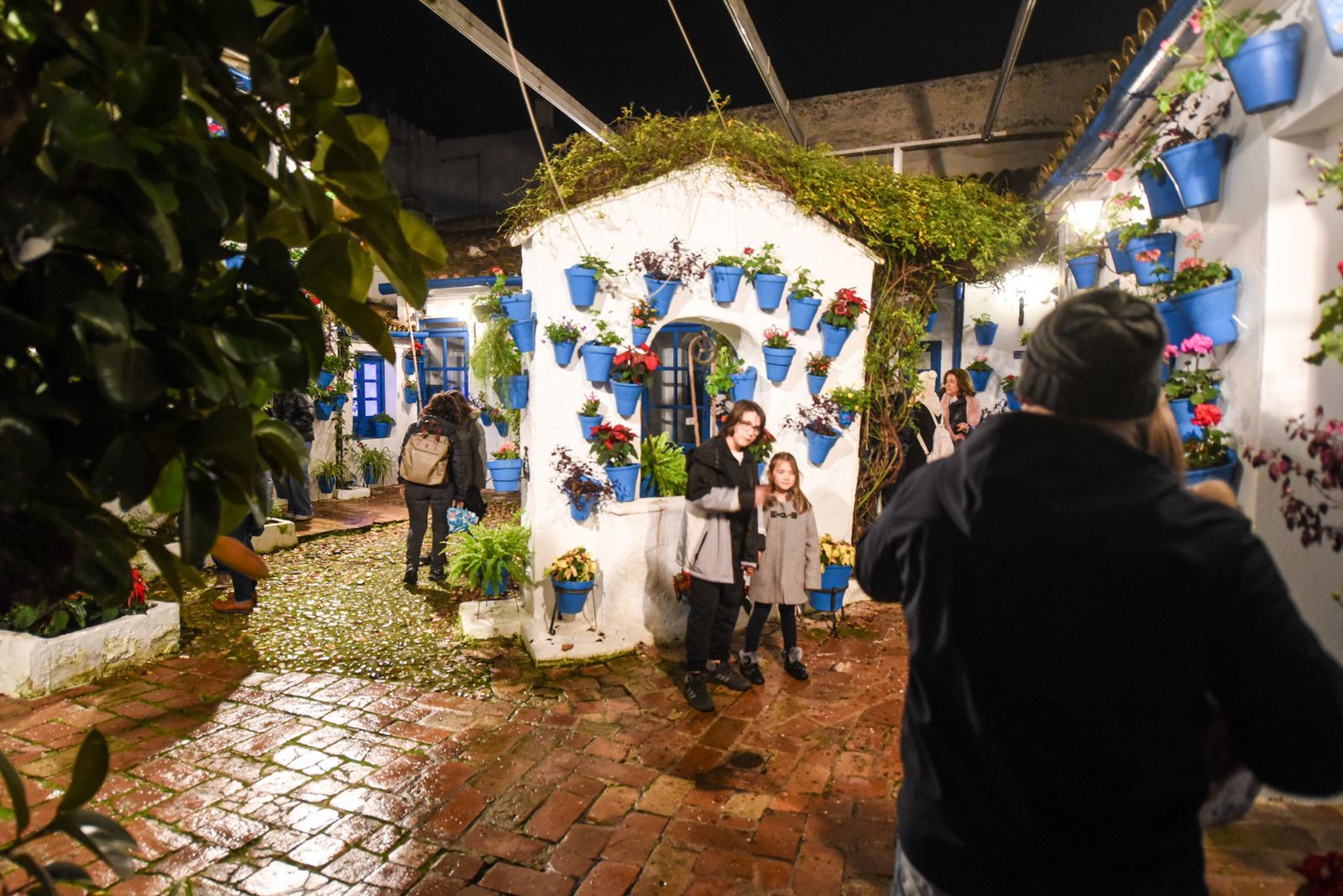 Las mejores fotos de la última jornada de la Navidad en los Patios