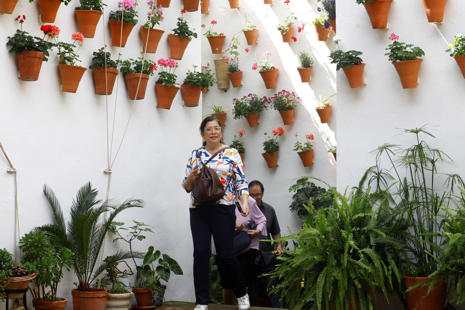 Los patios de Córdoba de la ruta Judería-San Francisco, en imágenes