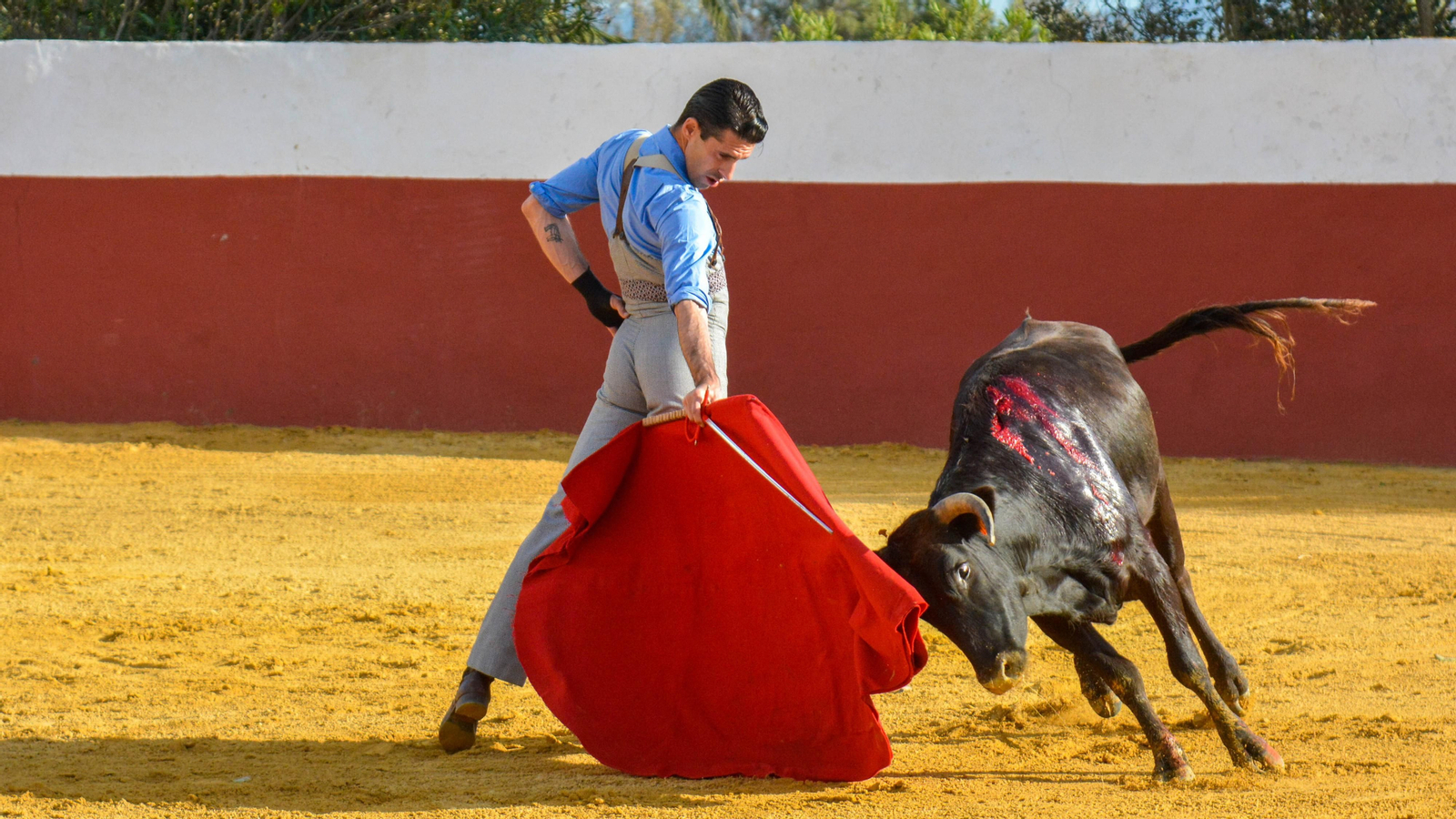 Tentadero con Talavante en la finca La Palmosilla