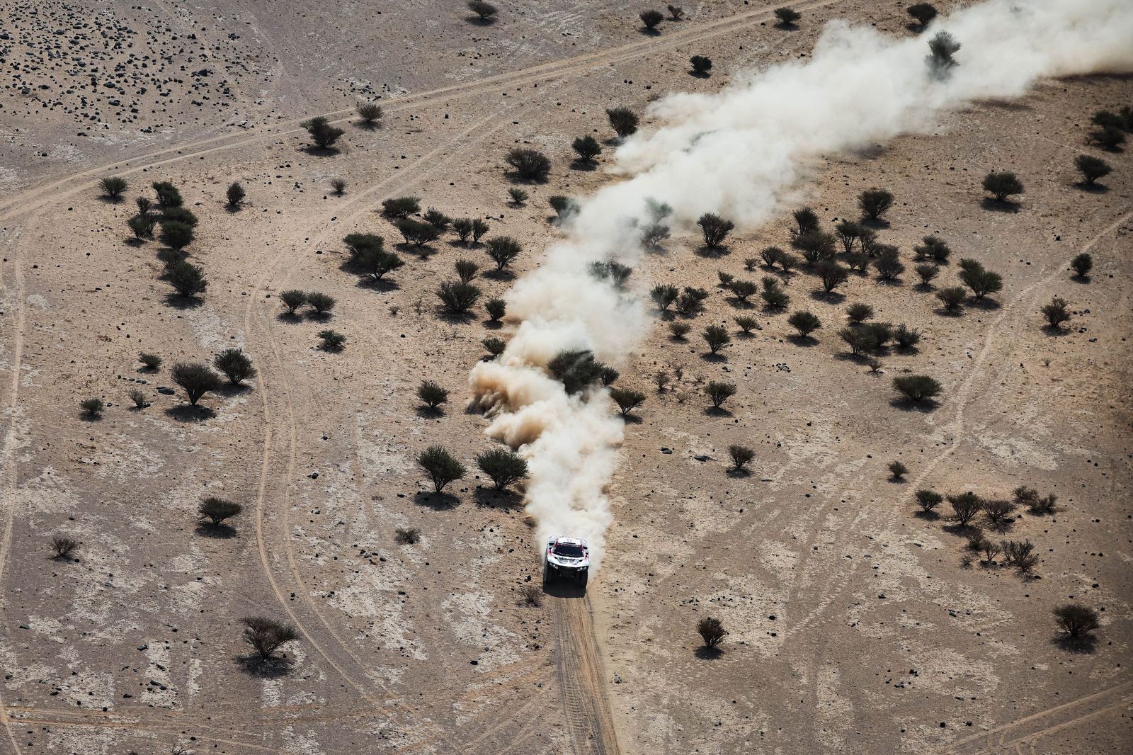 Las mejores fotos del Rally Dakar | undécima etapa