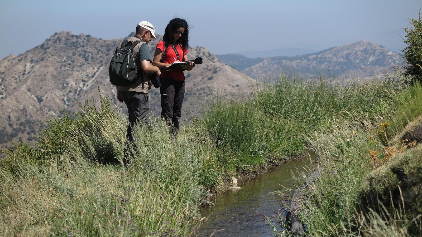Dos voluntarios realizan el transecto junto a la Acequia de los Hechos.