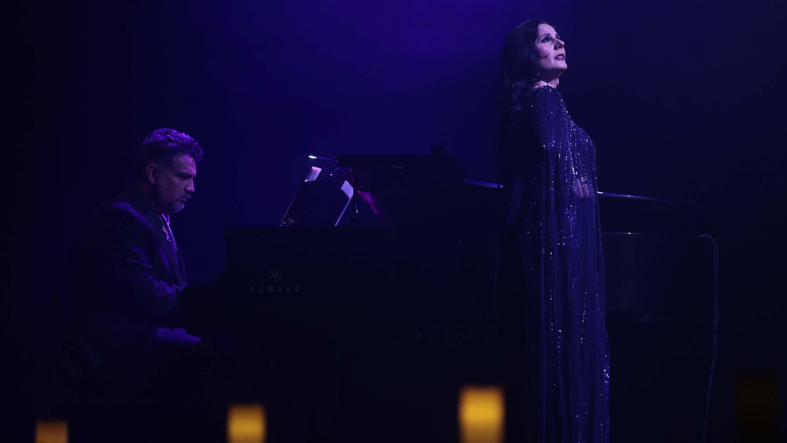 Las fotos del concierto de Diana Navarro