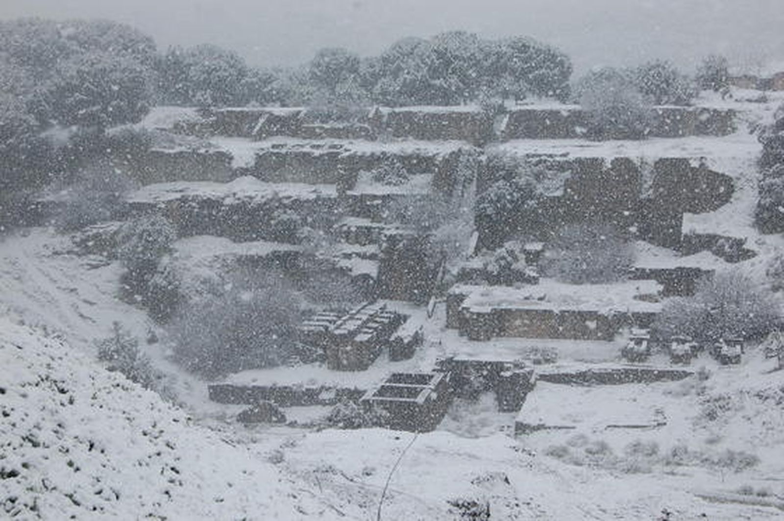 El Muriano

Foto: De Arellano
