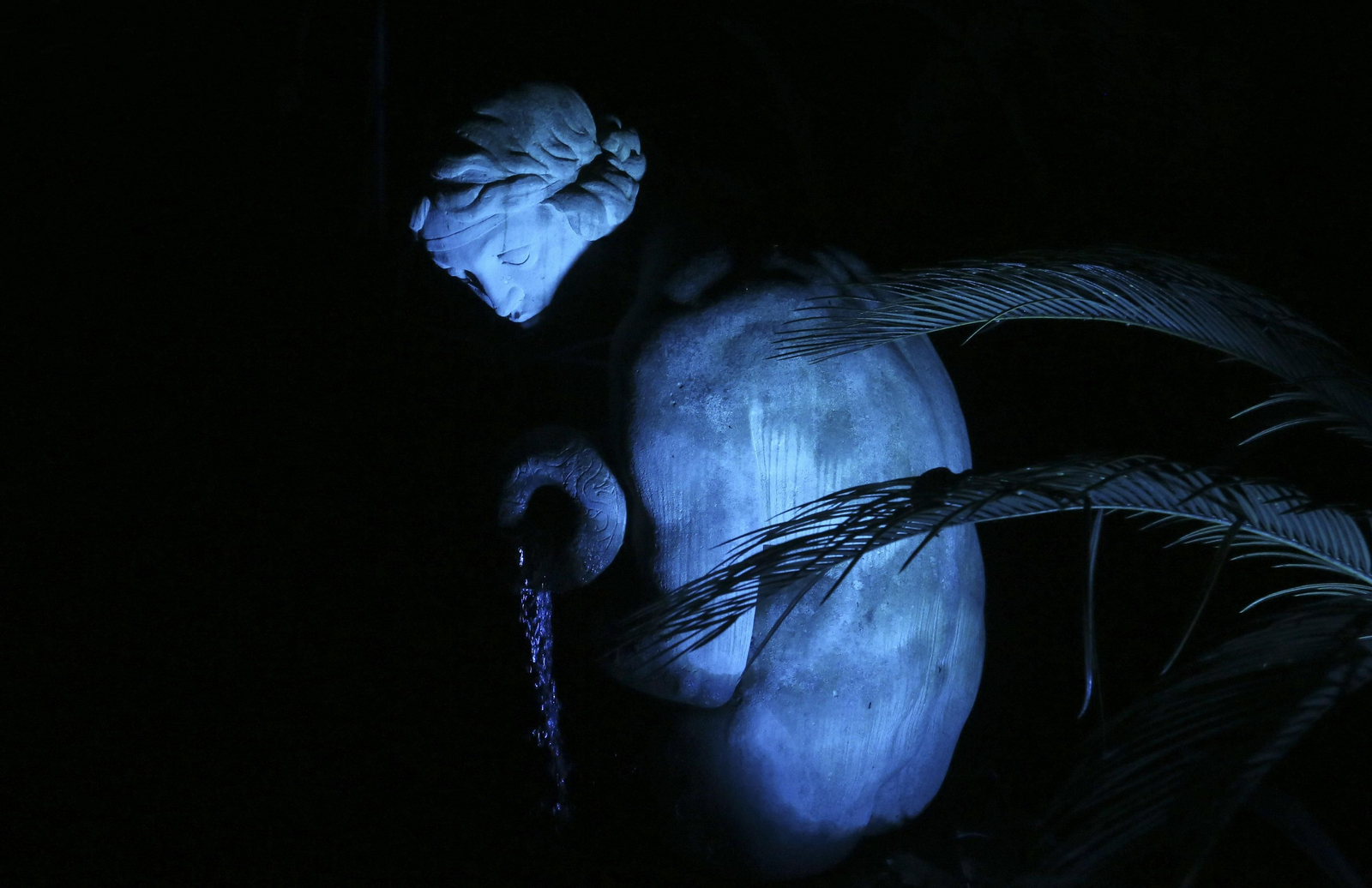 Las luces del Jardín Botánico de Málaga esta Navidad, en fotos