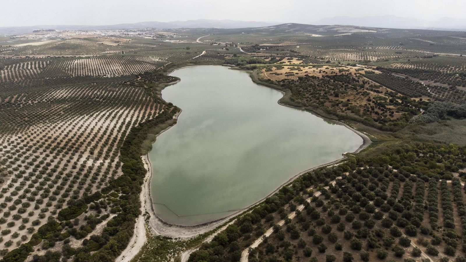 Vista panorámica de la laguna de Zóñar, en Aguilar de la Frontera. Vista panorámica de la laguna de Zóñar, en Aguilar de la Frontera.
