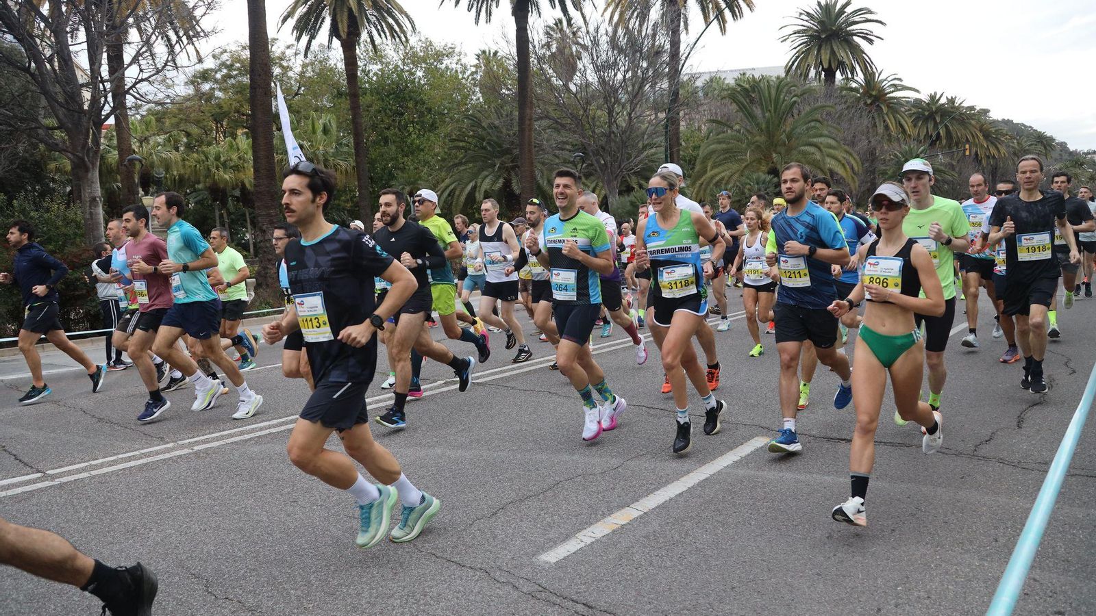 La Media Maratón de Málaga 2025, en fotos