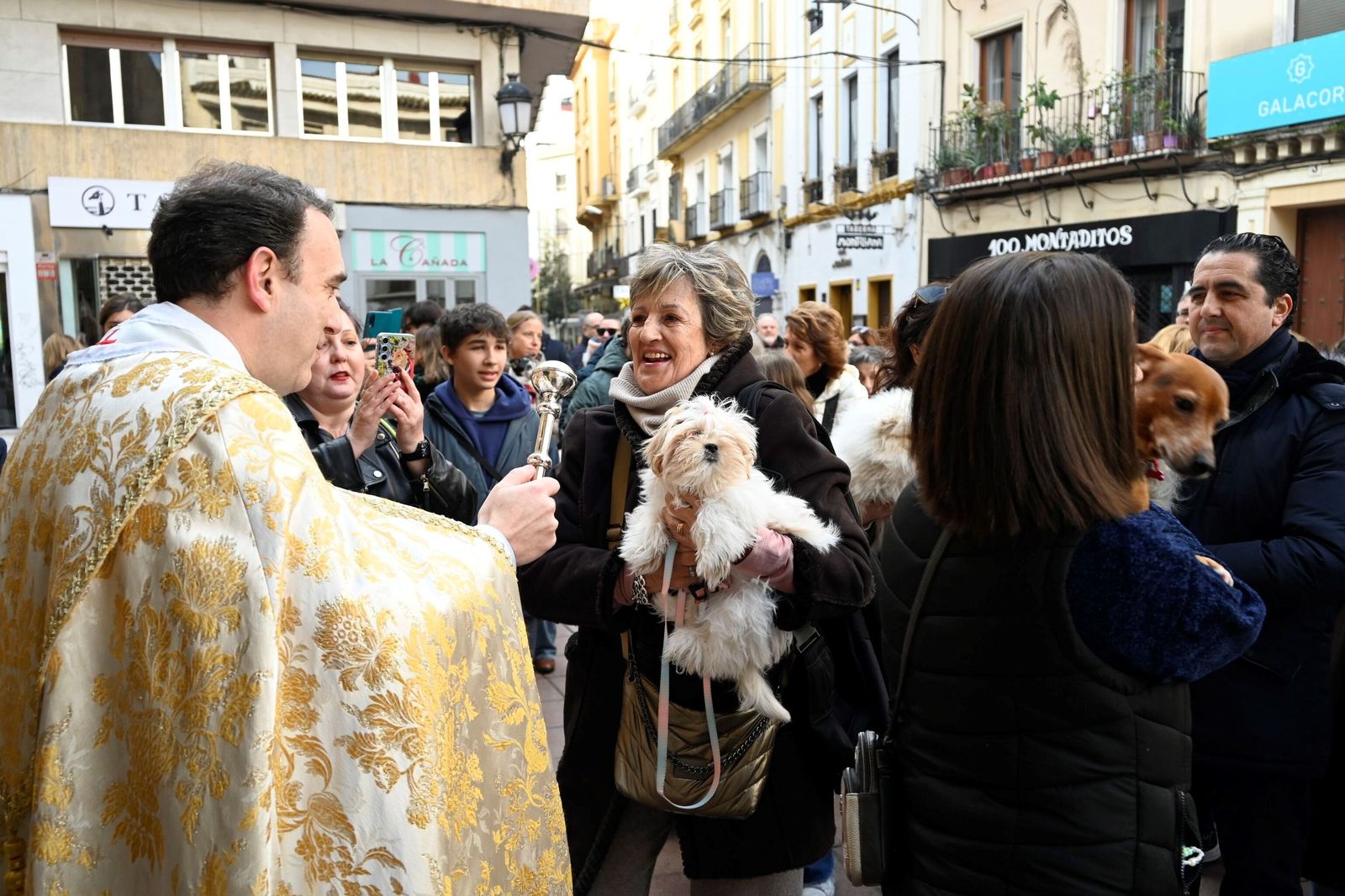 La bendición de animales por San Antón en Córdoba