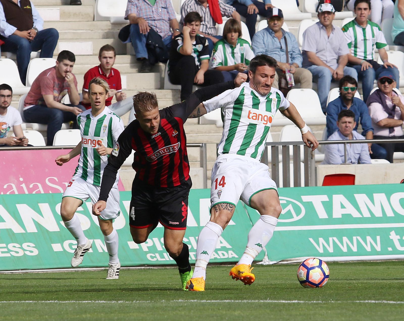 Las imágenes del Córdoba-Reus