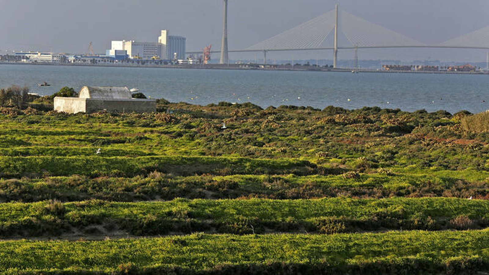 Salinas de la Bahía de Cádiz.