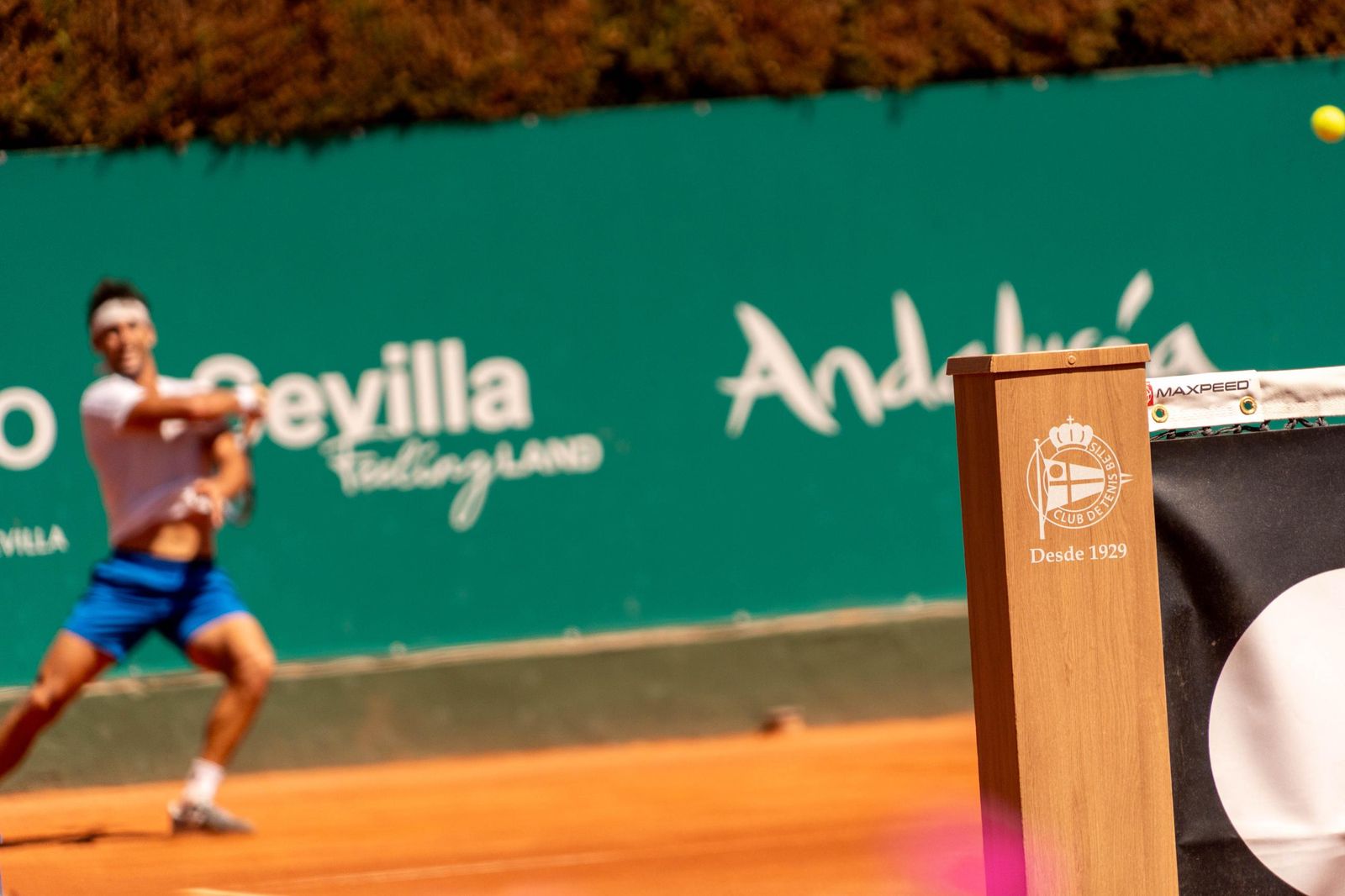 Buse - Taberner (14).jpg