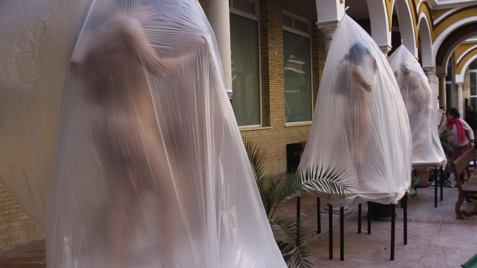 Modelos de Bellas Artes.