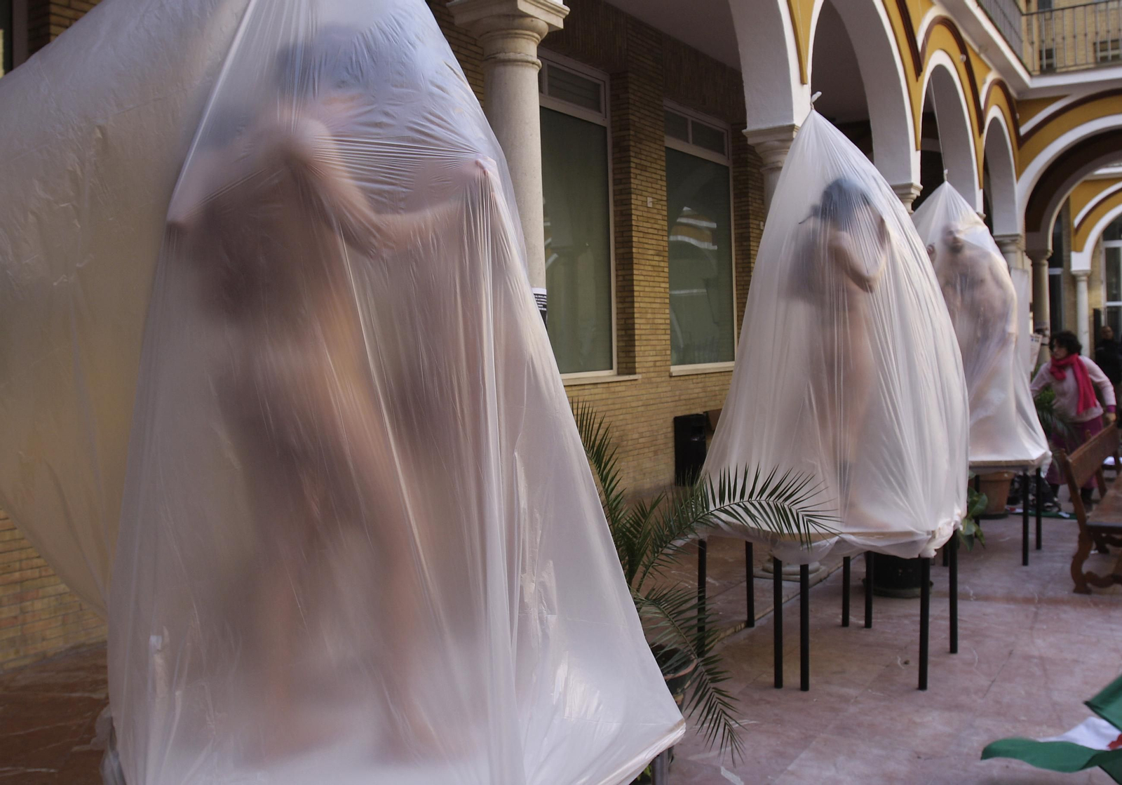 Modelos de Bellas Artes.