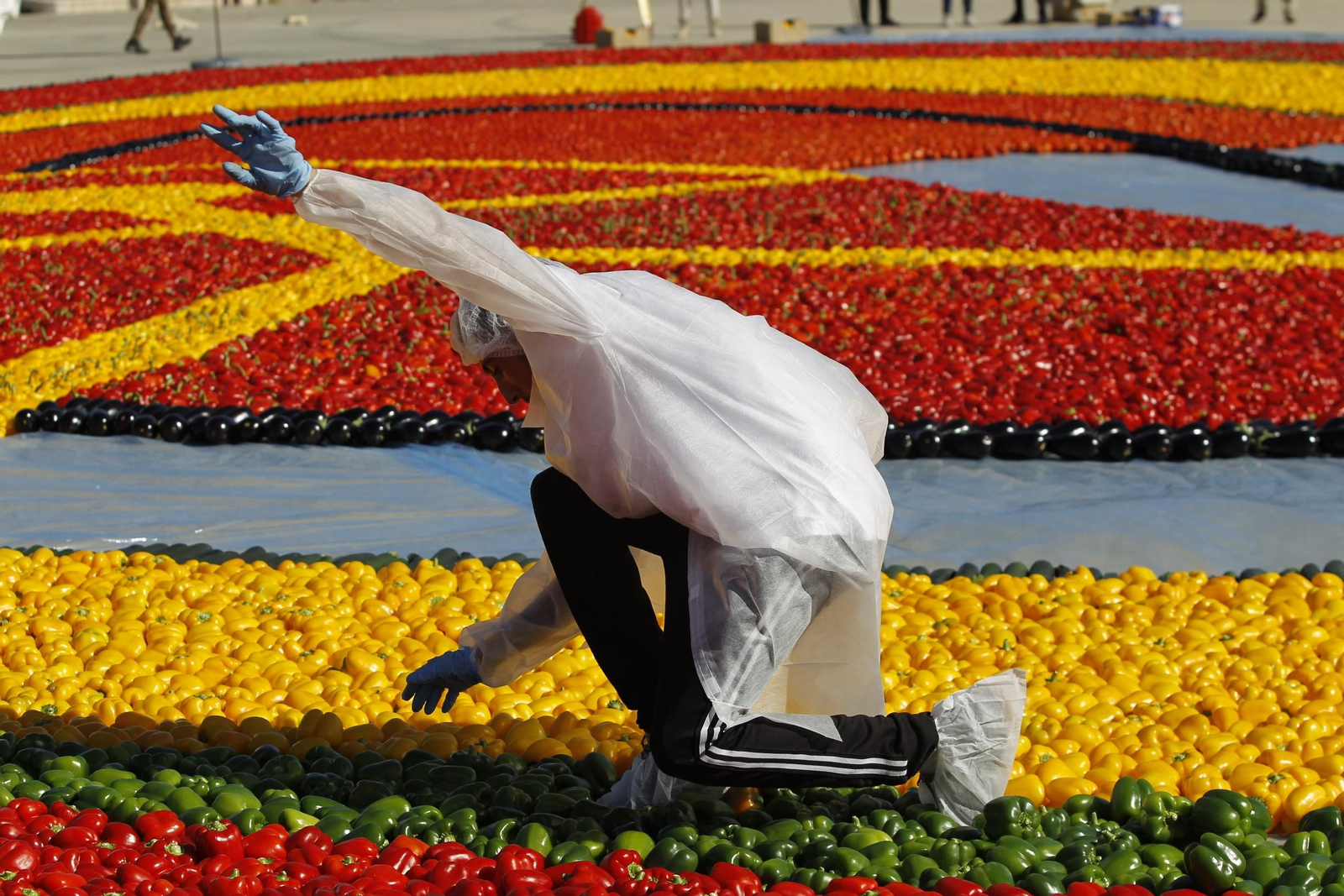 Fotogalería Récord Guinness Corazón Hortalizas Almería