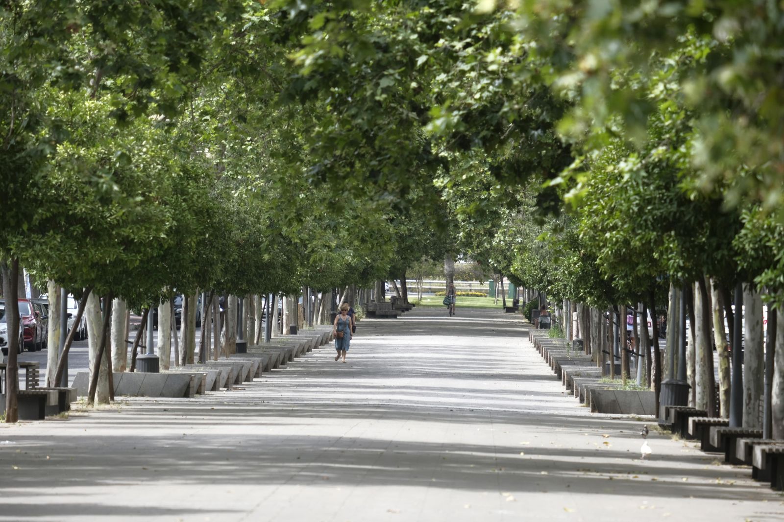 Un recorrido en fotografías por Córdoba a más de 40 grados centígrados
