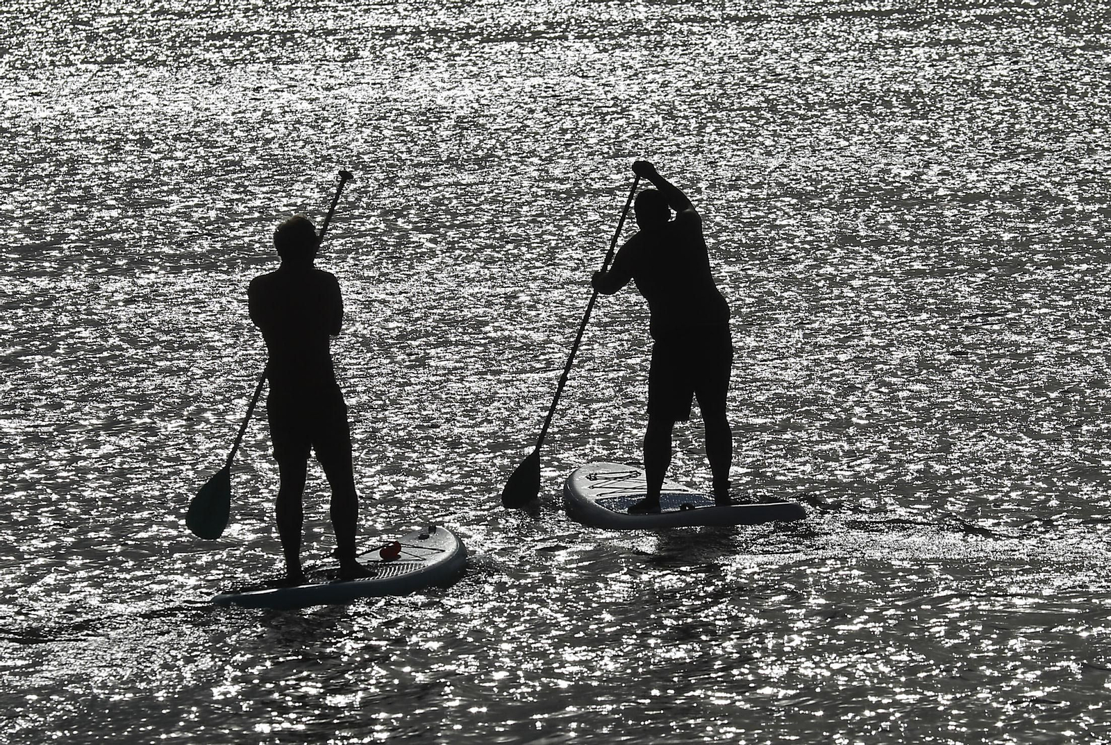 Paraje natural Marismas del Odiel, paraíso de Huelva entre salinas