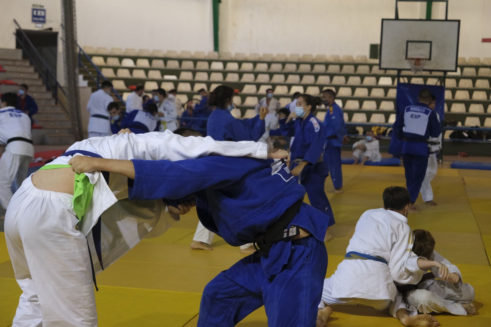 Fotogalería X Campus Internacional de Judo Ciudad de Almería