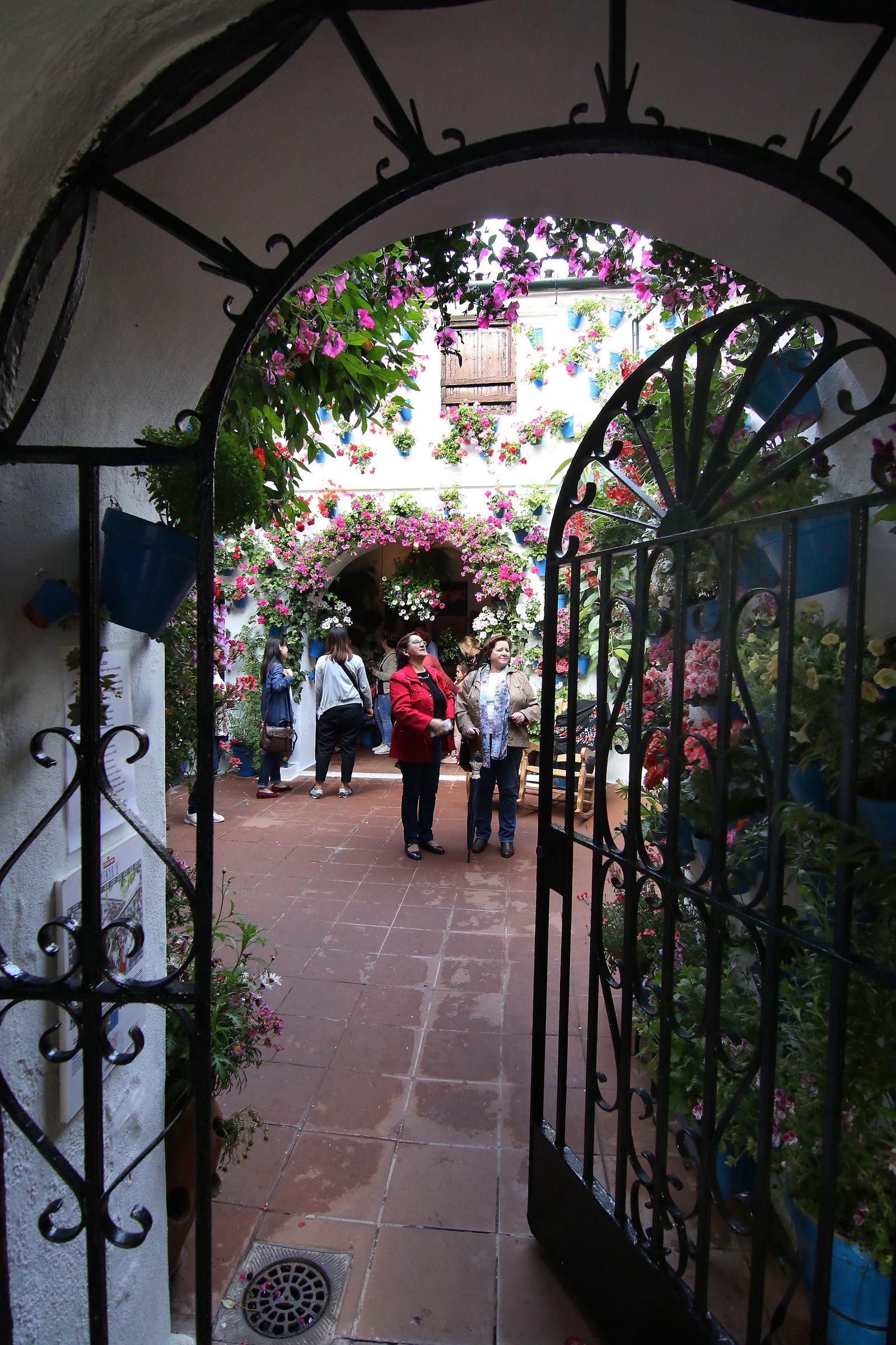 Los patios ganadores en el concurso de los Patios de Córdoba 2017
