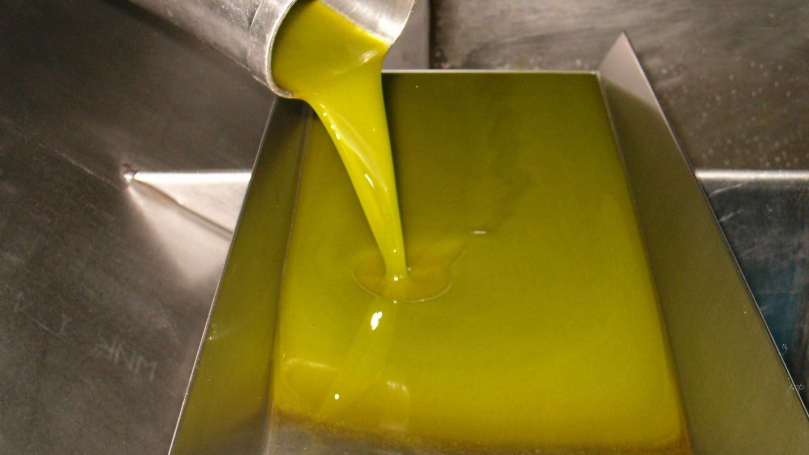 Producción de aceite de oliva virgen extra.
