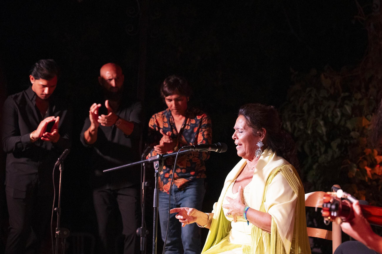 Las mejores imágenes del Festival de Flamenco en Fondón