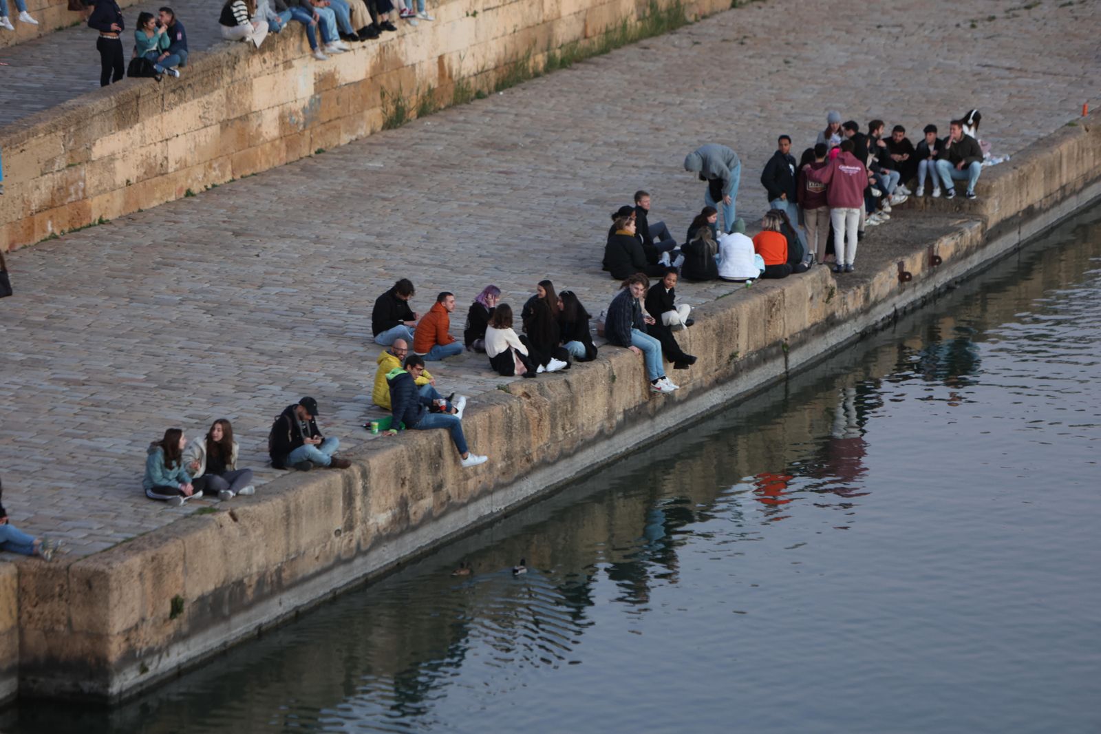 Las imágenes de la ola de frío polar en Sevilla