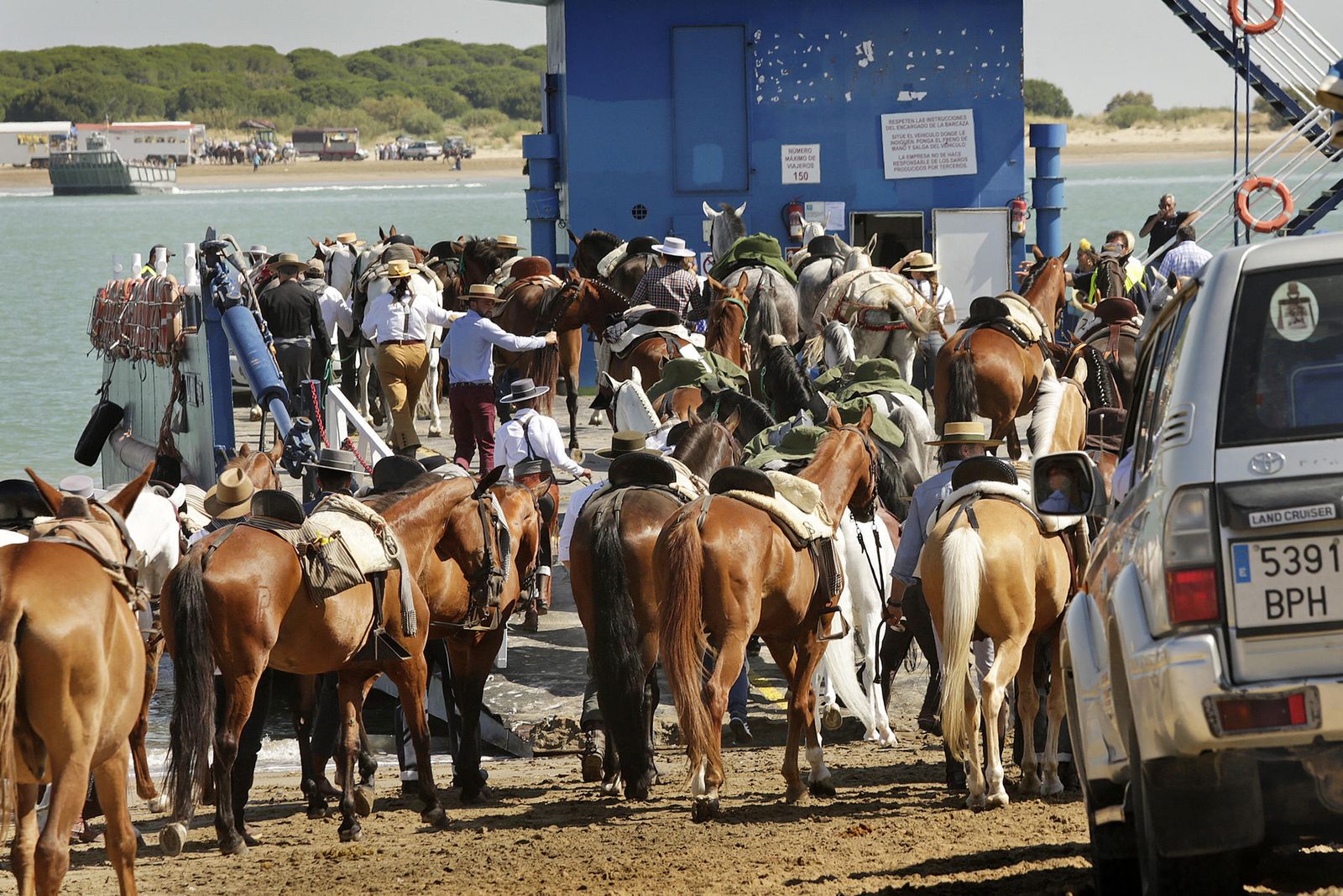 Embarque de caballos en la orilla sanluqueña, el año pasado.