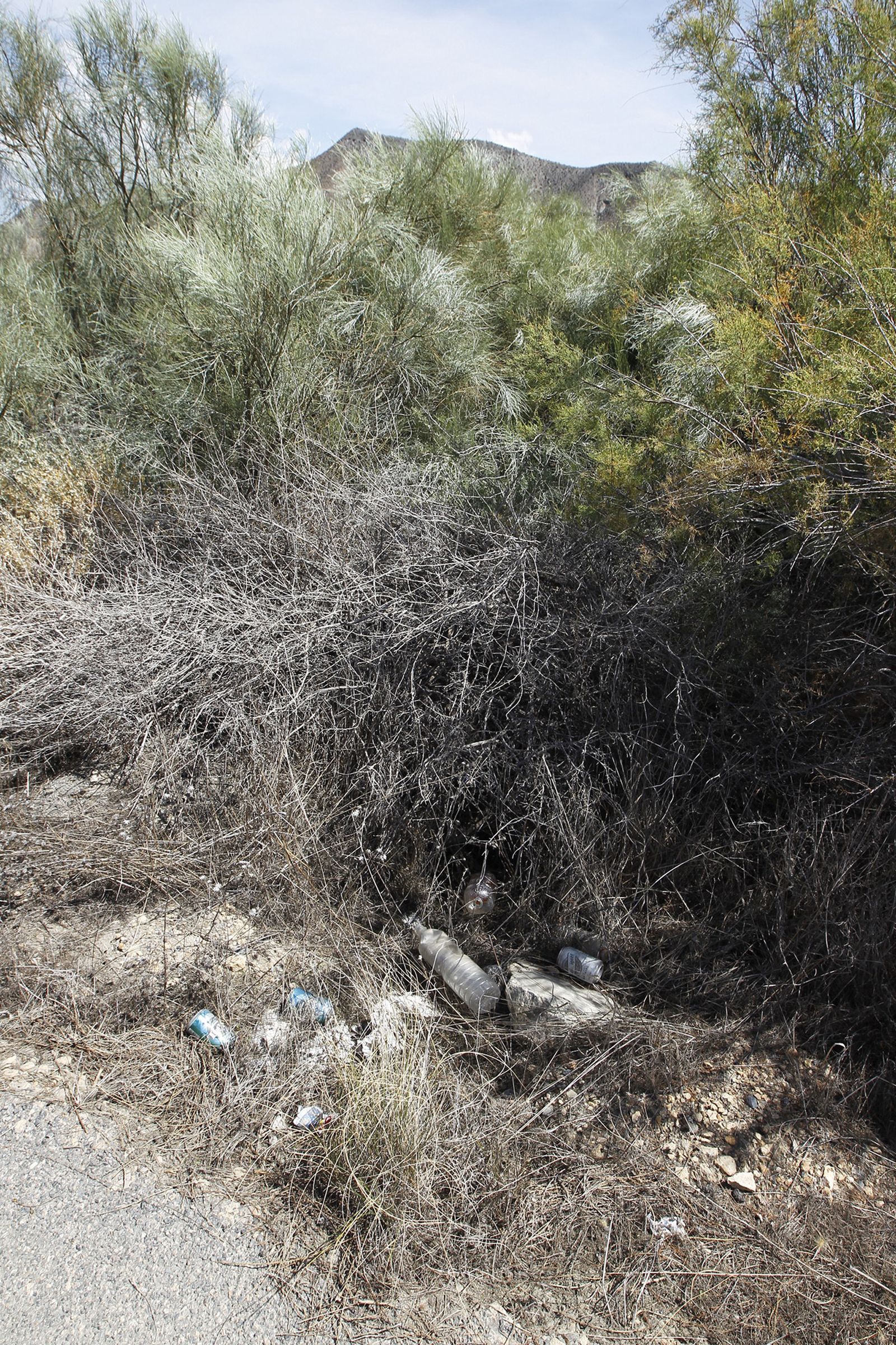 Fotogalería basura en el Desierto de Tabernas
