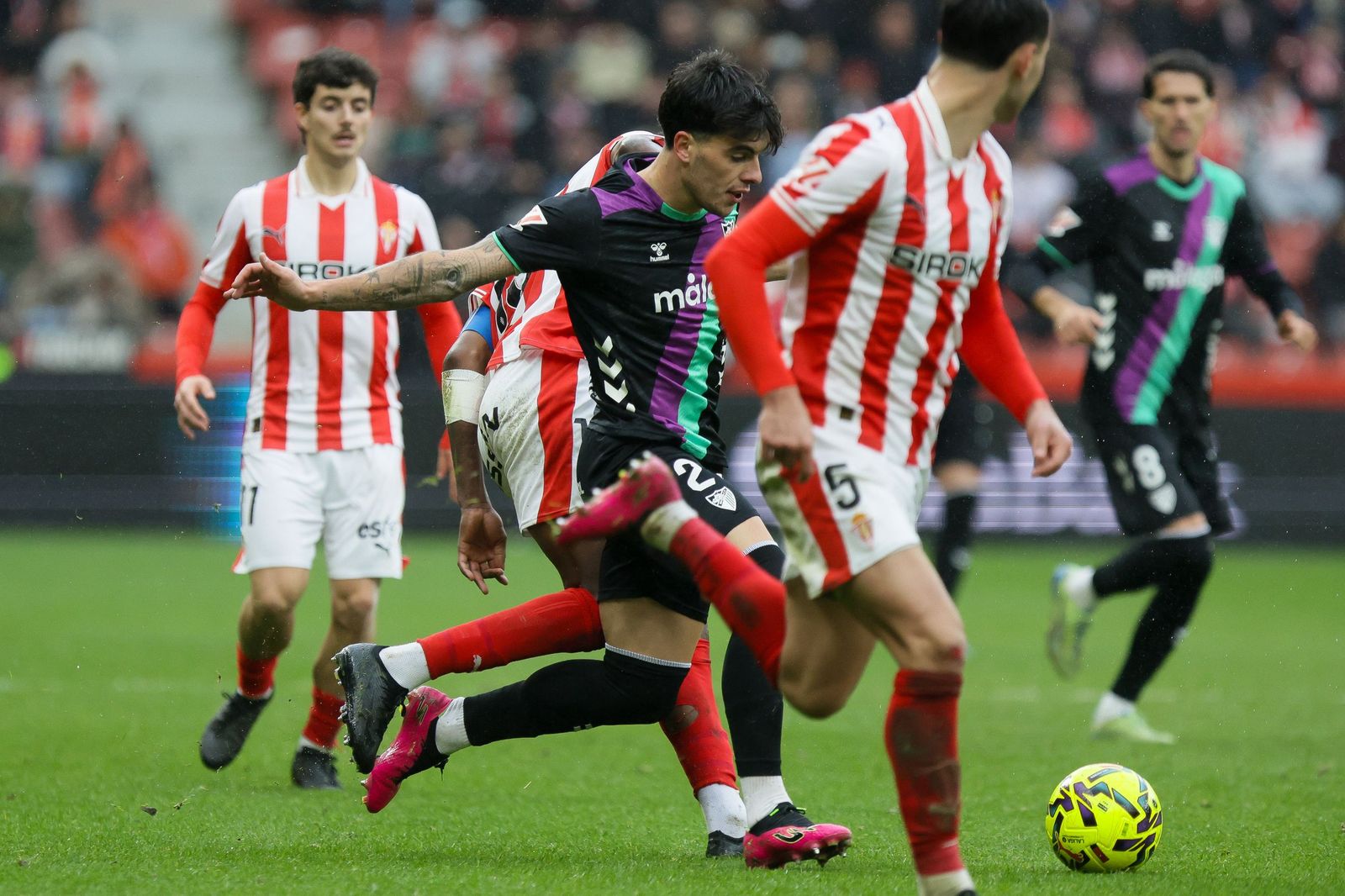 El Sporting-Málaga CF, en fotos