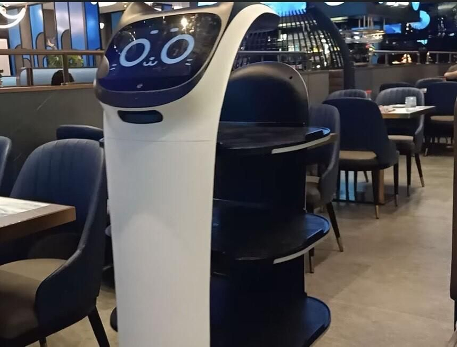 Imagen del robot en el restaurante Ocean de Gines