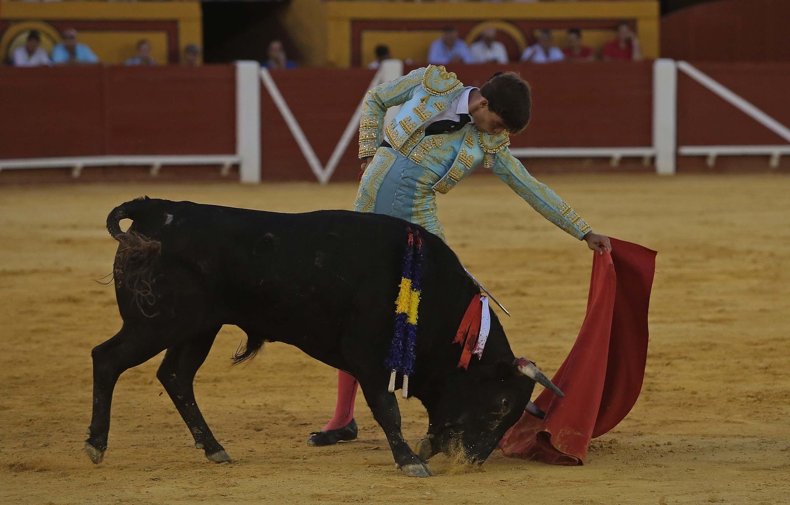 La novillada de Miguelín que abre la feria de Algeciras, en imágenes