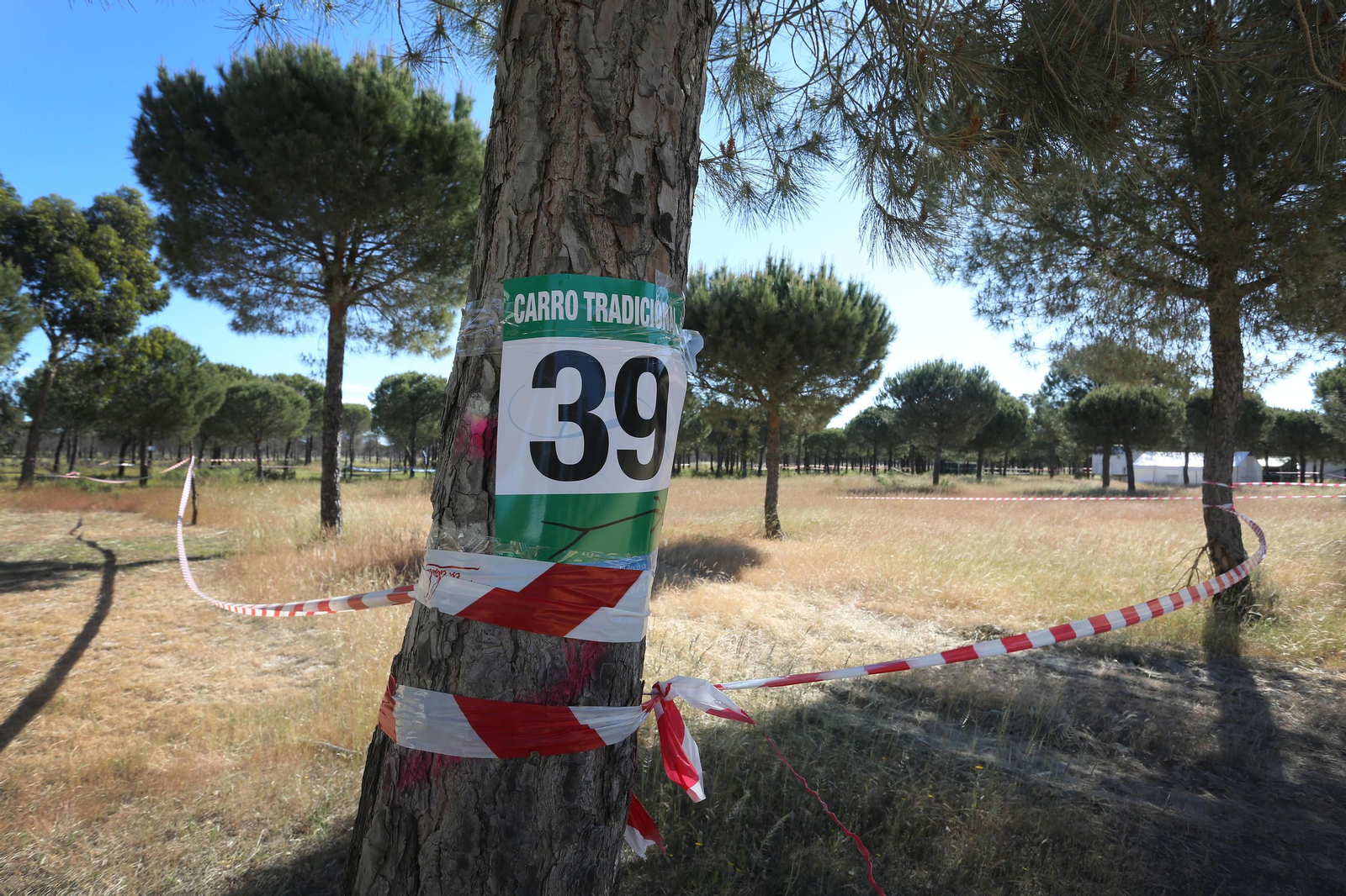 Activado el Plan Romero