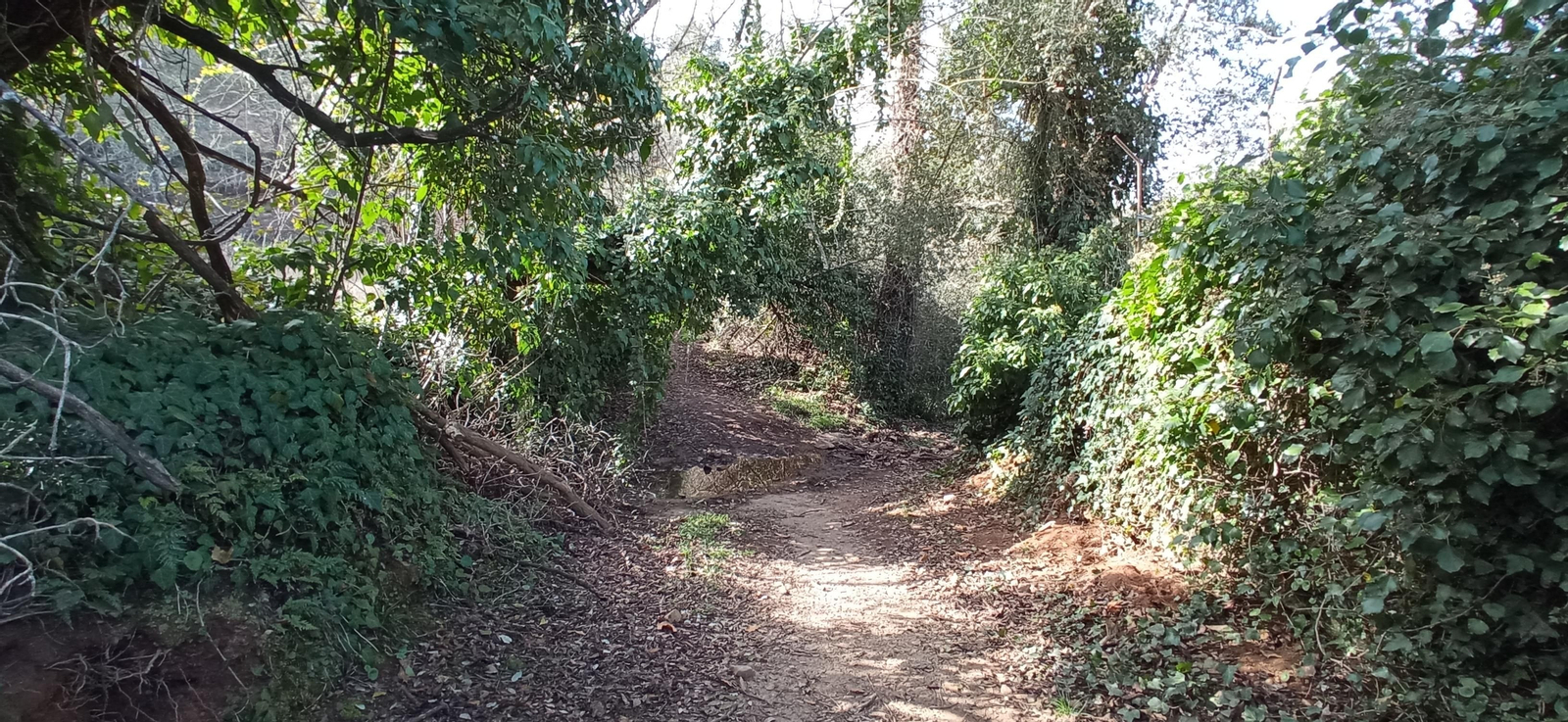 Las imágenes de la ruta de la Dehesa de Valdelama: De Los Marines a Fuenteheridos y vuelta