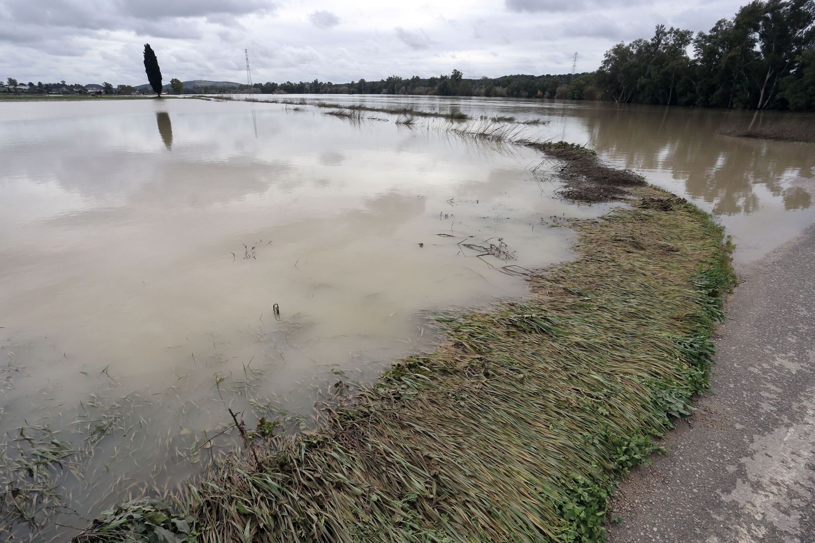 El Guadalete comienza a bajar su nivel poco a poco por la zona rural de Jerez