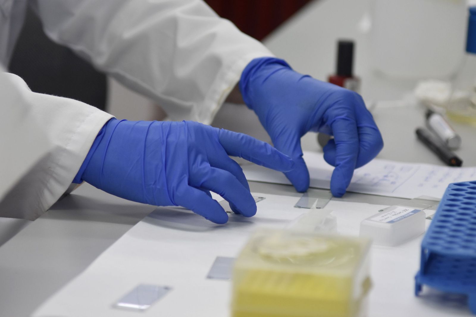 Investigadores de la UCO en un laboratorio del Campus de Rabanales.