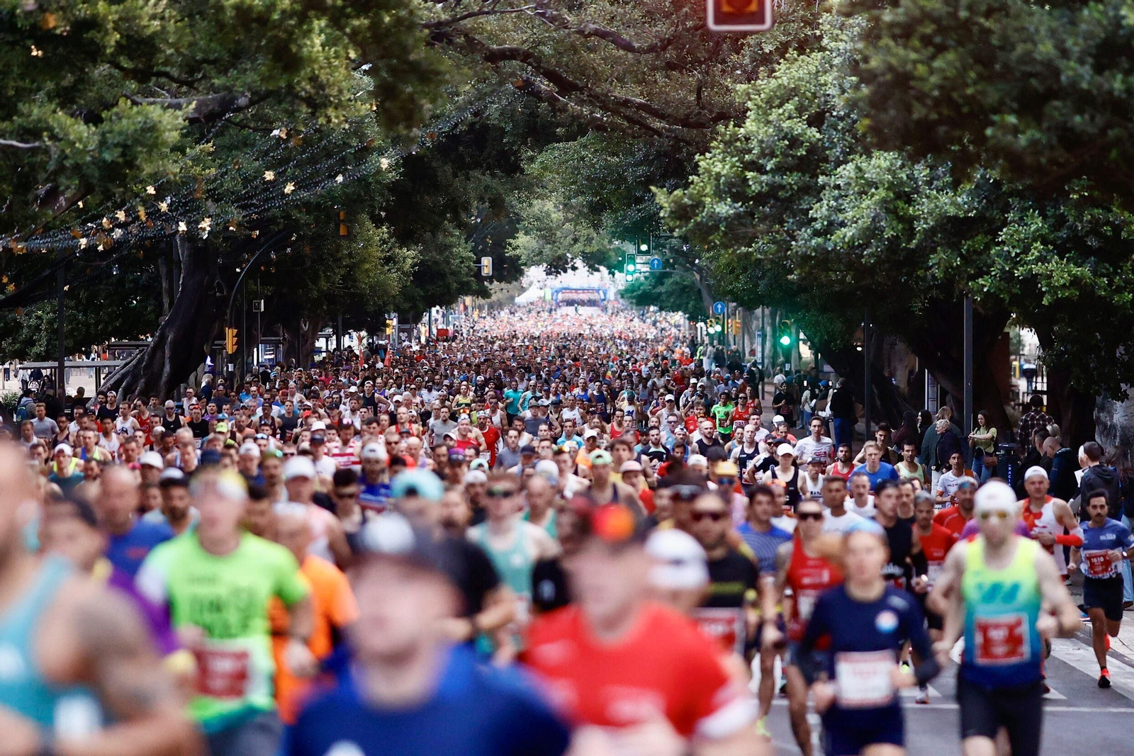 Las fotos de la Maratón de Málaga 2025