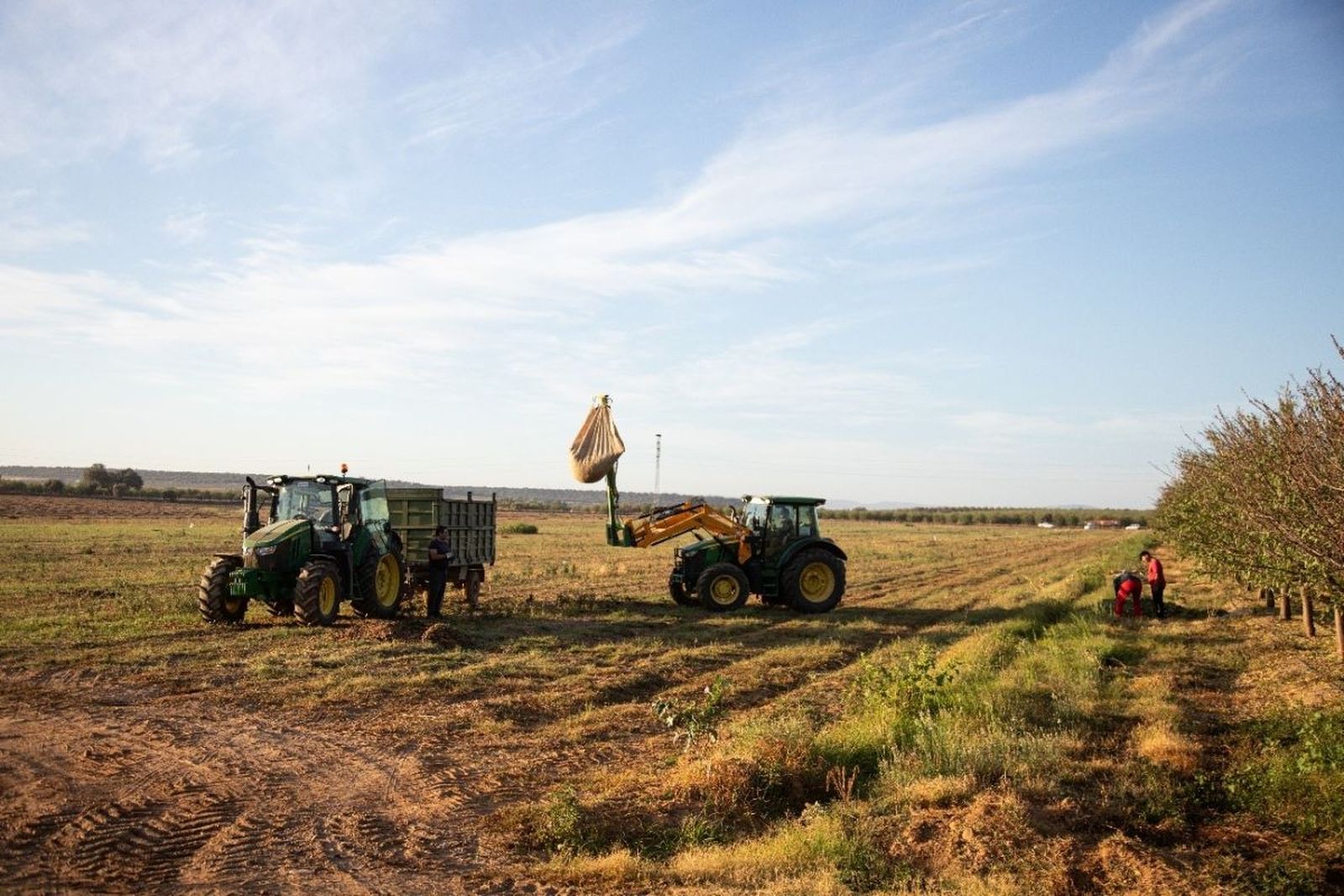 Campos de cultivo de tomate para Unilever en los campos del Grupo Conesa.