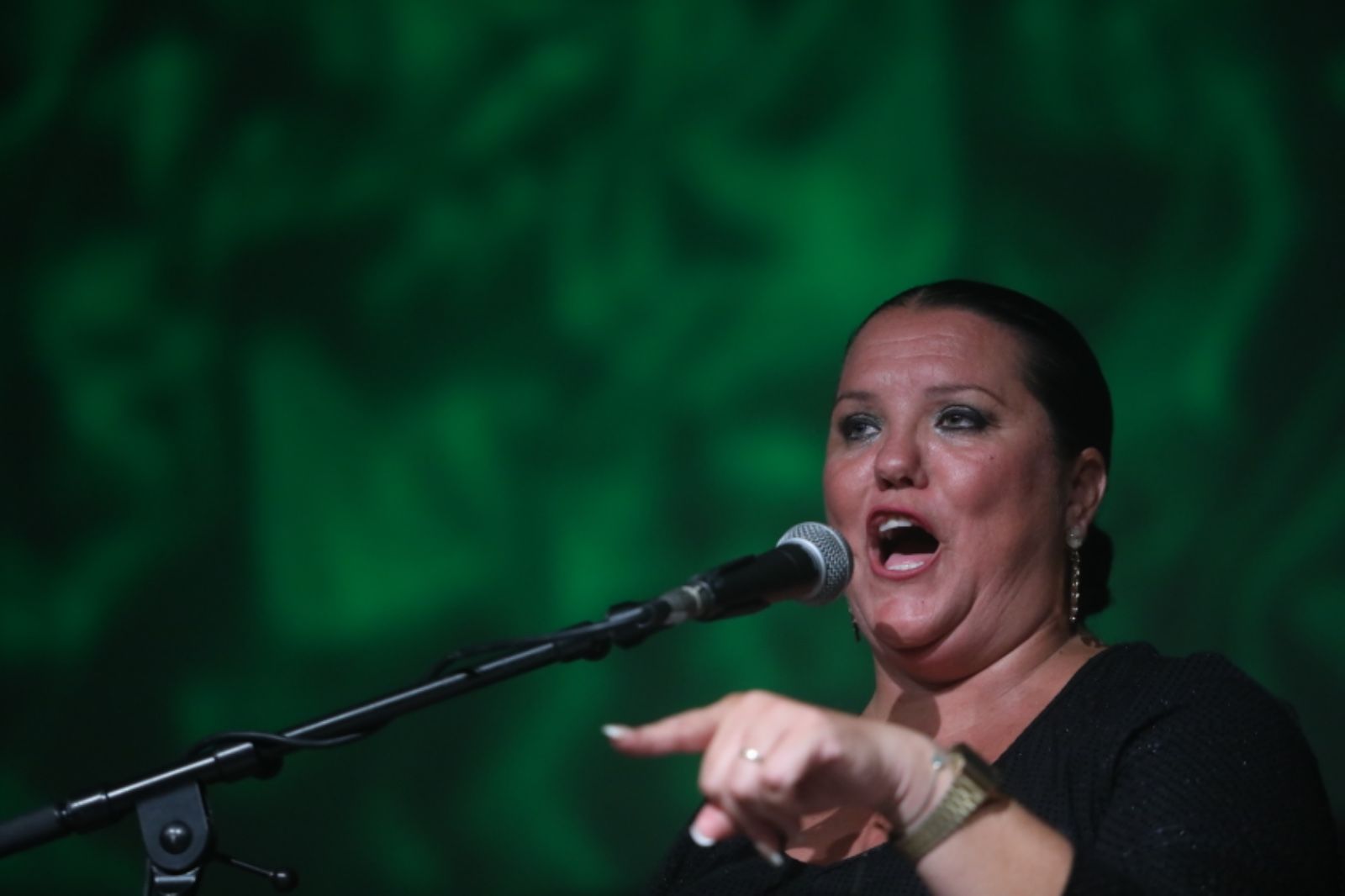 Carolina Castilla, durante su actuación en el Parque de San Fernando en la Noche Flamenca