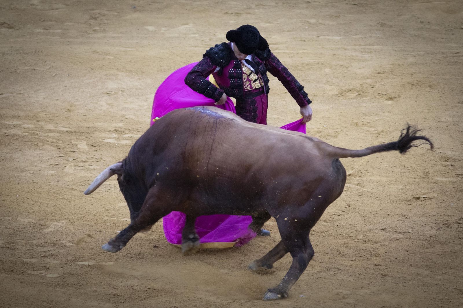 Juan Ortega se luce en un momento de la jornada