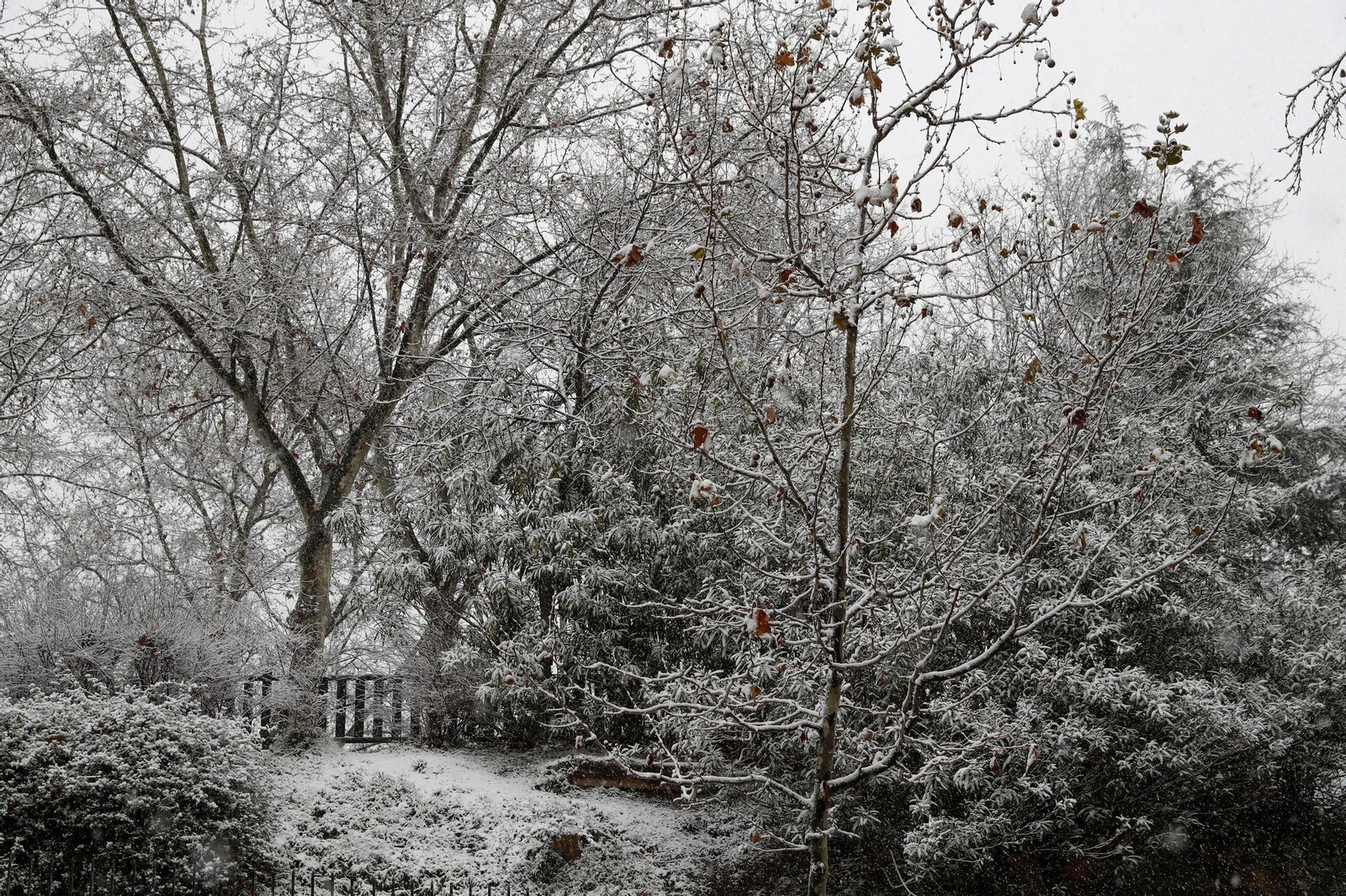 Las imágenes blancas que ha dejado la nieve en toda España