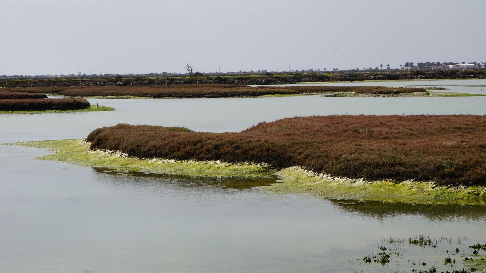 Paisaje durante la ruta de la Salina de Carboneros