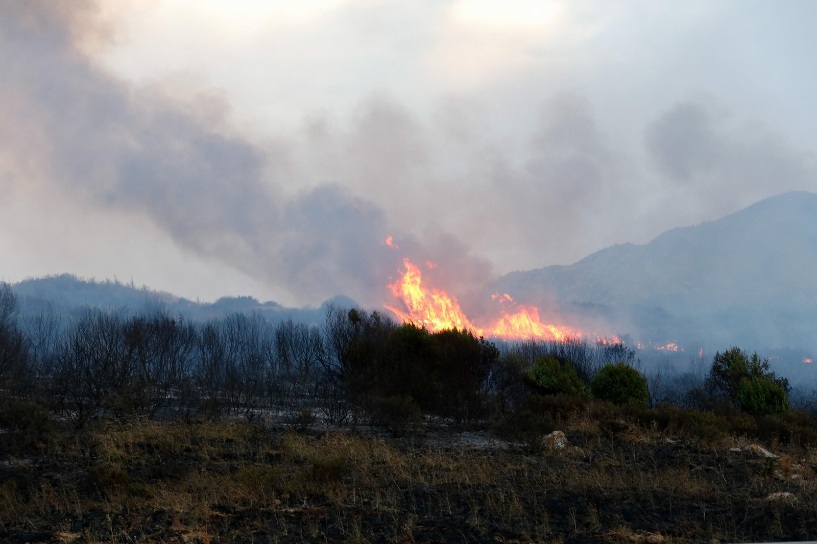 Las fotos del incendio de este viernes en Algeciras