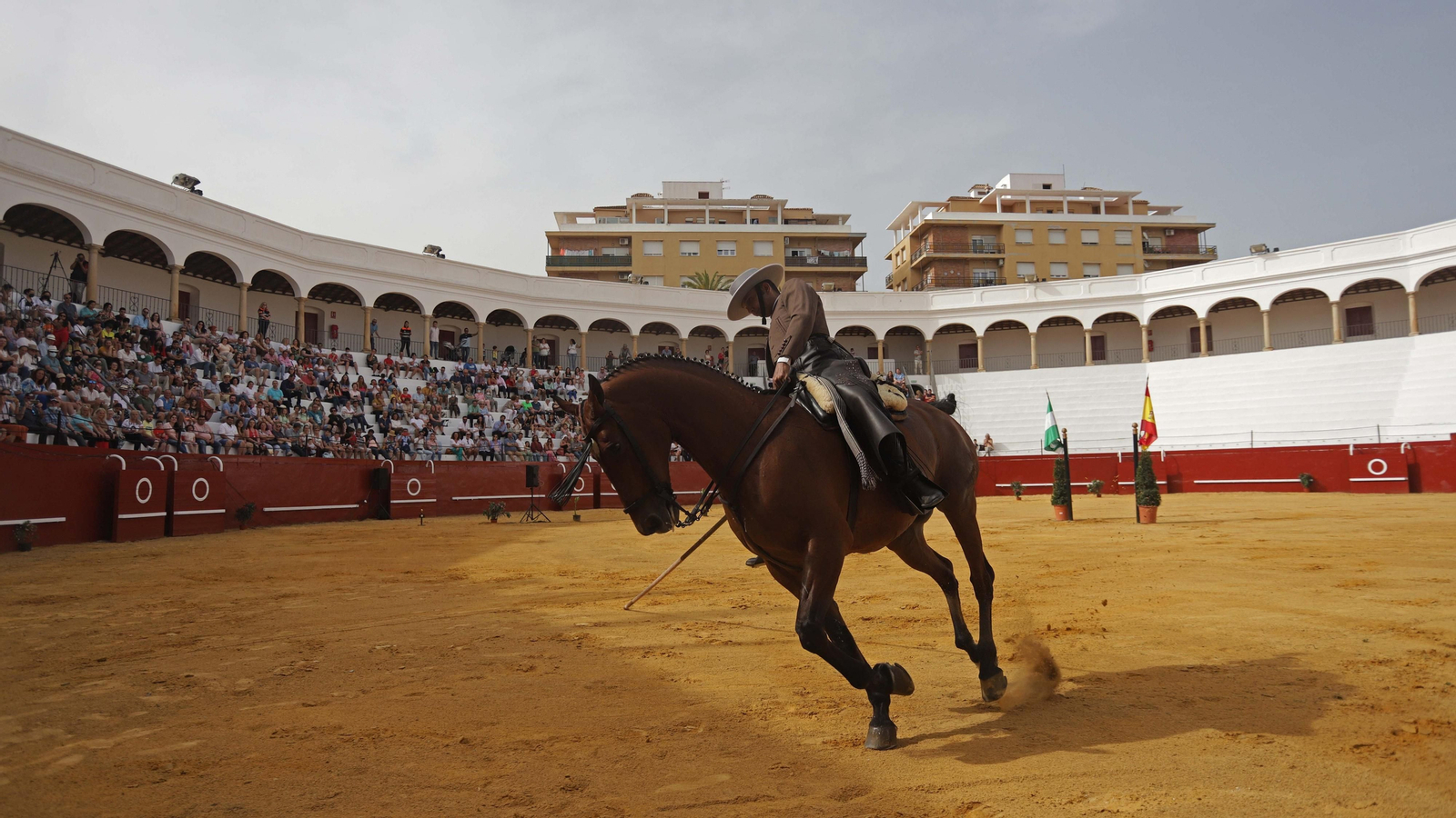 Fotos del espectáculo 'Cómo bailan los caballos andaluces' en San Roque