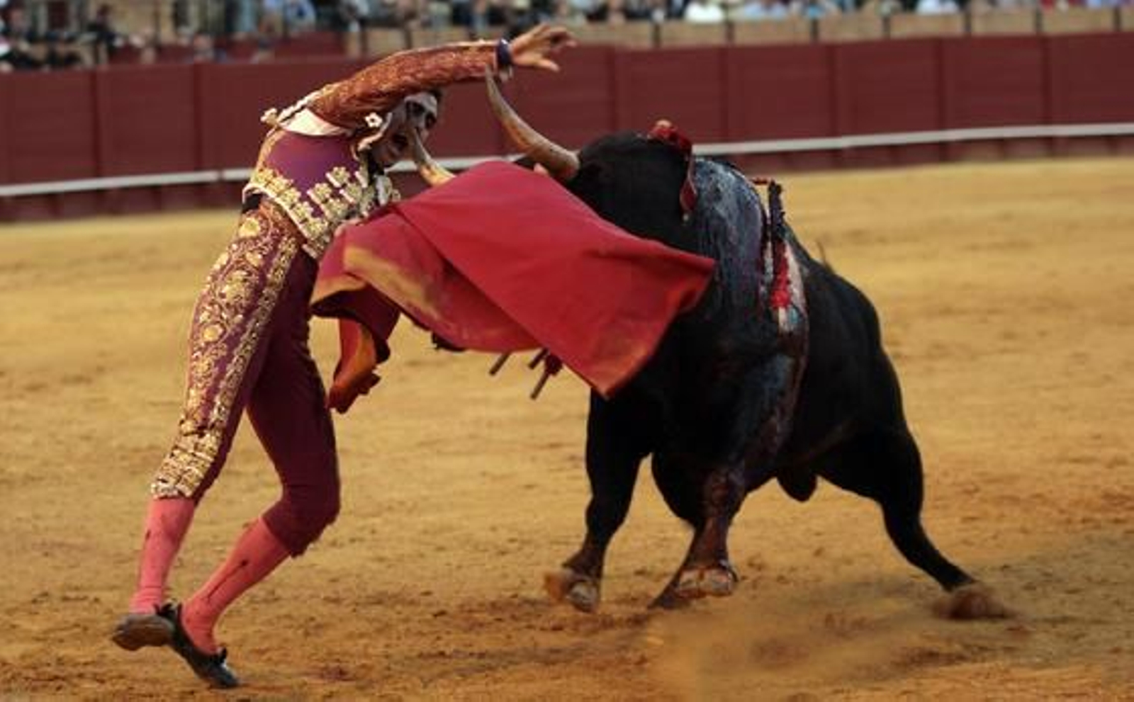 Foto: Juan Carlos Muñoz