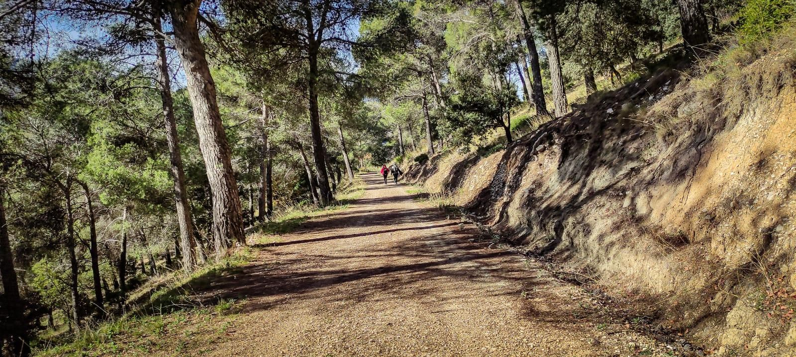 Ruta de senderismo con vistas a Sierra Nevada y la Sierra Sur: subida a la cumbre de Puerto Alto desde la Cañada de las Hazadillas