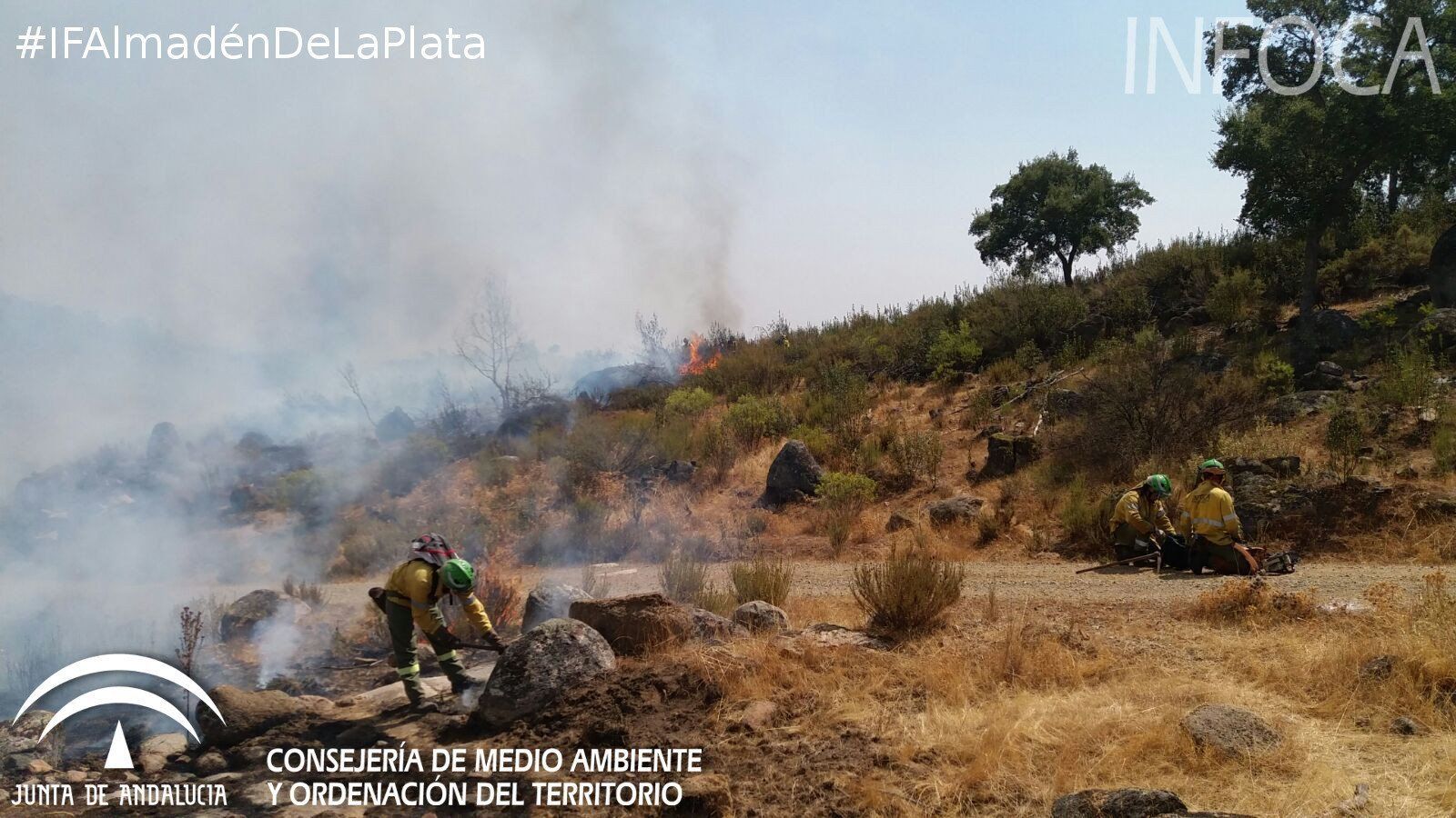 Incendios forestalesen Sevilla