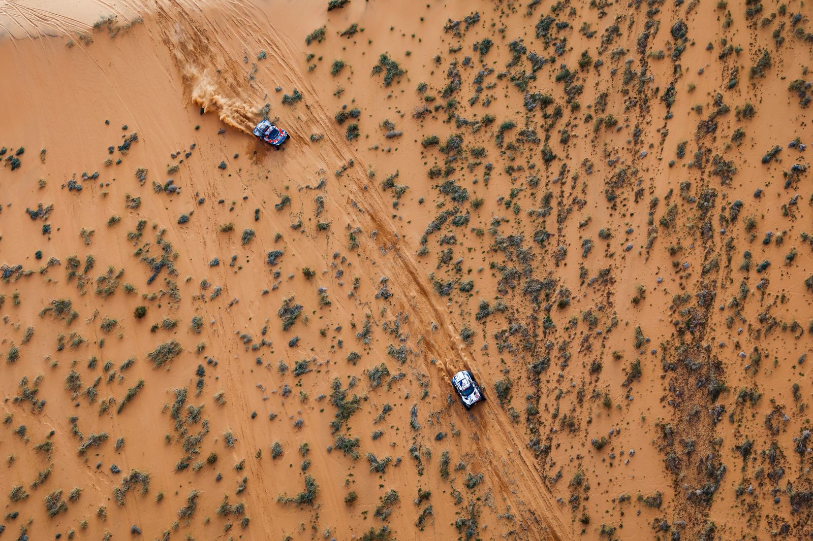Las mejores fotos de la etapa del Rally Dakar