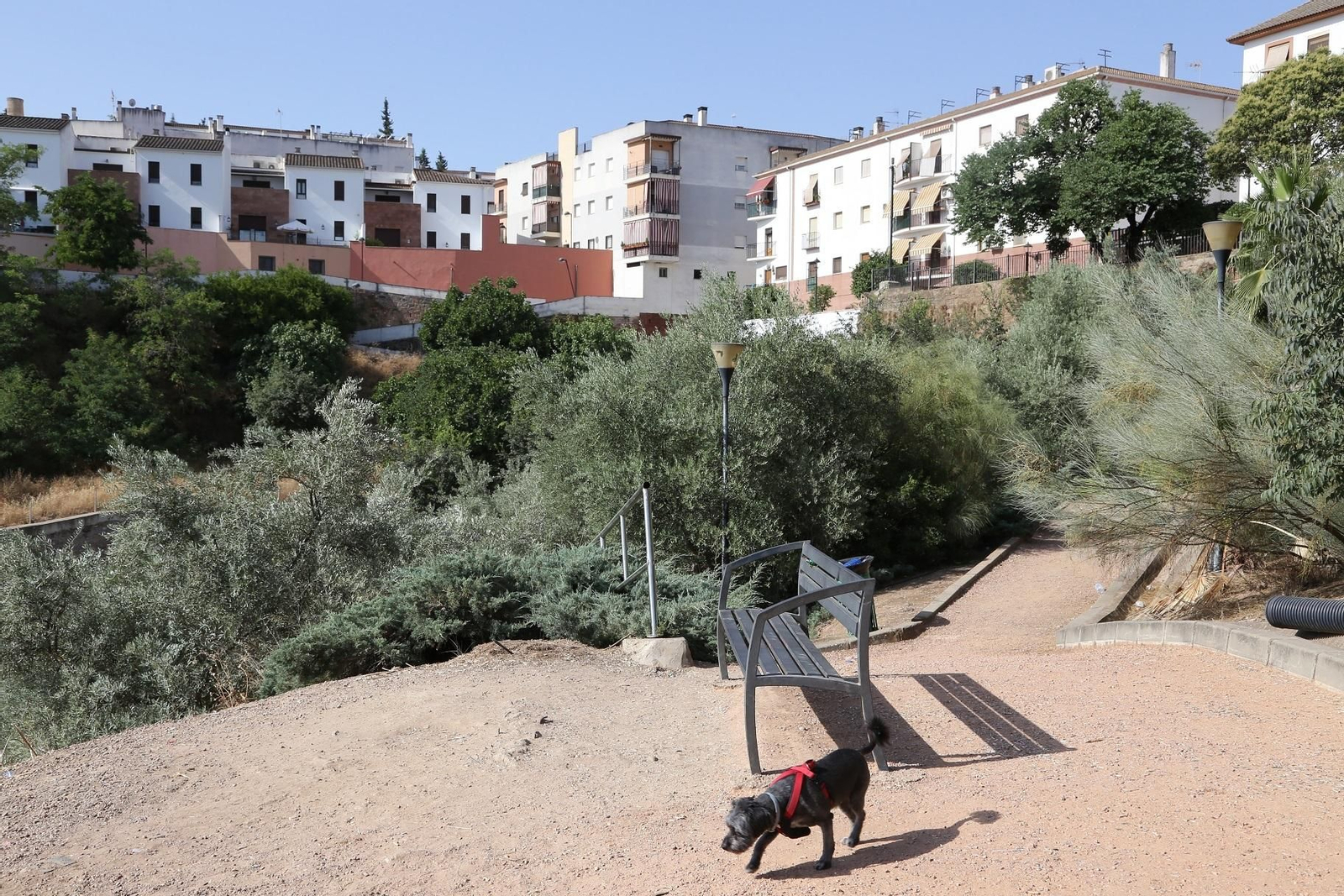 Zona de la calle Del Pilar de Montoro donde se va a actuar. Zona de la calle Del Pilar de Montoro donde se va a actuar.